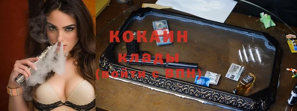 ПСИЛОЦИБИНОВЫЕ ГРИБЫ Вязники