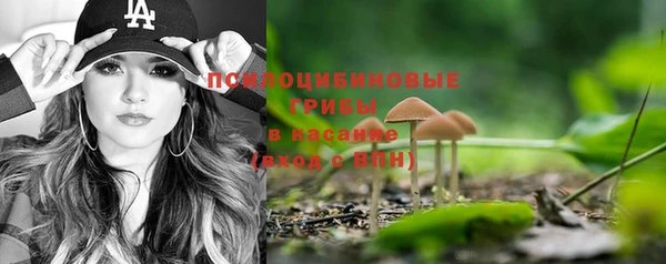 эйфоретик Вяземский