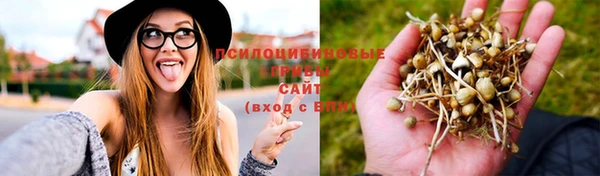 mdpv Вязьма