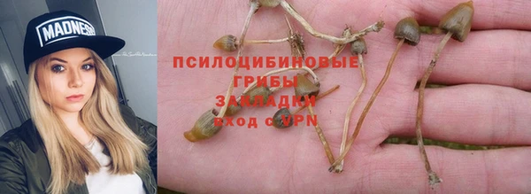 ПСИЛОЦИБИНОВЫЕ ГРИБЫ Вязники