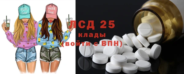 ПСИЛОЦИБИНОВЫЕ ГРИБЫ Вязники
