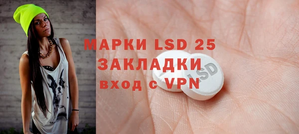 ПСИЛОЦИБИНОВЫЕ ГРИБЫ Вязники