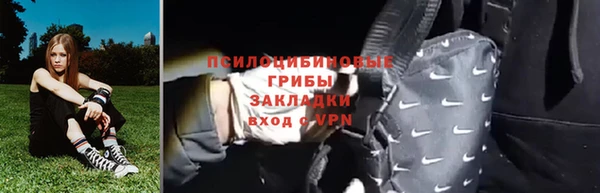 ПСИЛОЦИБИНОВЫЕ ГРИБЫ Вязники