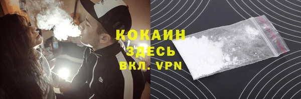 эйфоретик Вяземский
