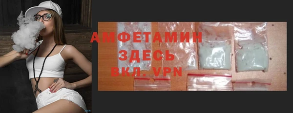 ПСИЛОЦИБИНОВЫЕ ГРИБЫ Вязники