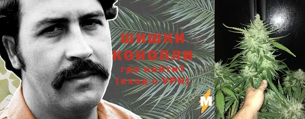ПСИЛОЦИБИНОВЫЕ ГРИБЫ Вязники