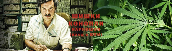 эйфоретик Вяземский