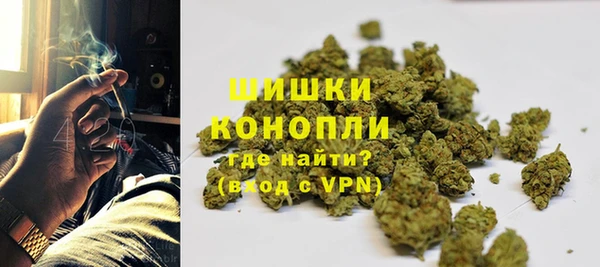 ПСИЛОЦИБИНОВЫЕ ГРИБЫ Вязники