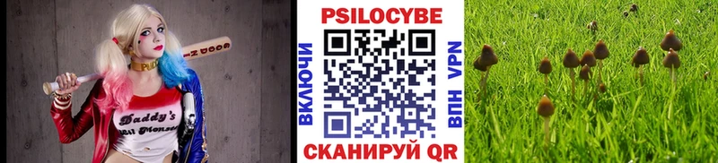 Галлюциногенные грибы Magic Shrooms  Печоры 